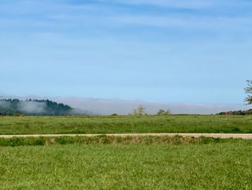 Der Nebel verzieht sich